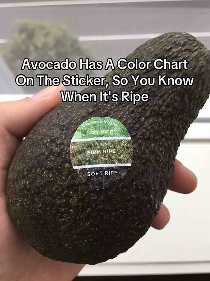 Avocado sticker color chart shows ripeness levels for selecting ripe fruit