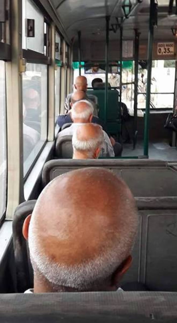 Three bald men sitting in a row on a bus, their heads appearing to sync just right.