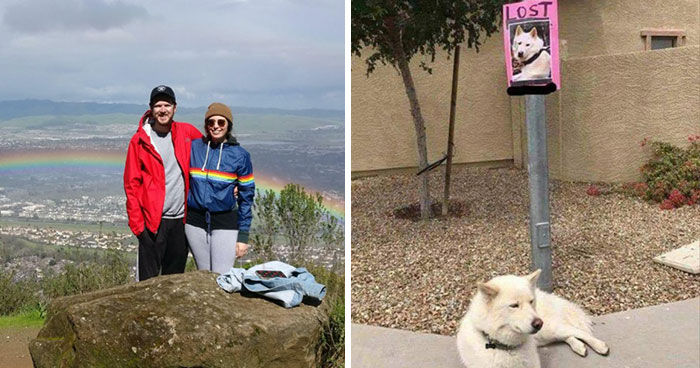 103 Times The Universe Seemed To Line Everything Up Just For One Photo