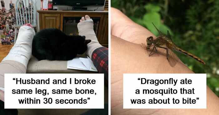 103 Times The Universe Seemed To Line Everything Up Just For One Photo