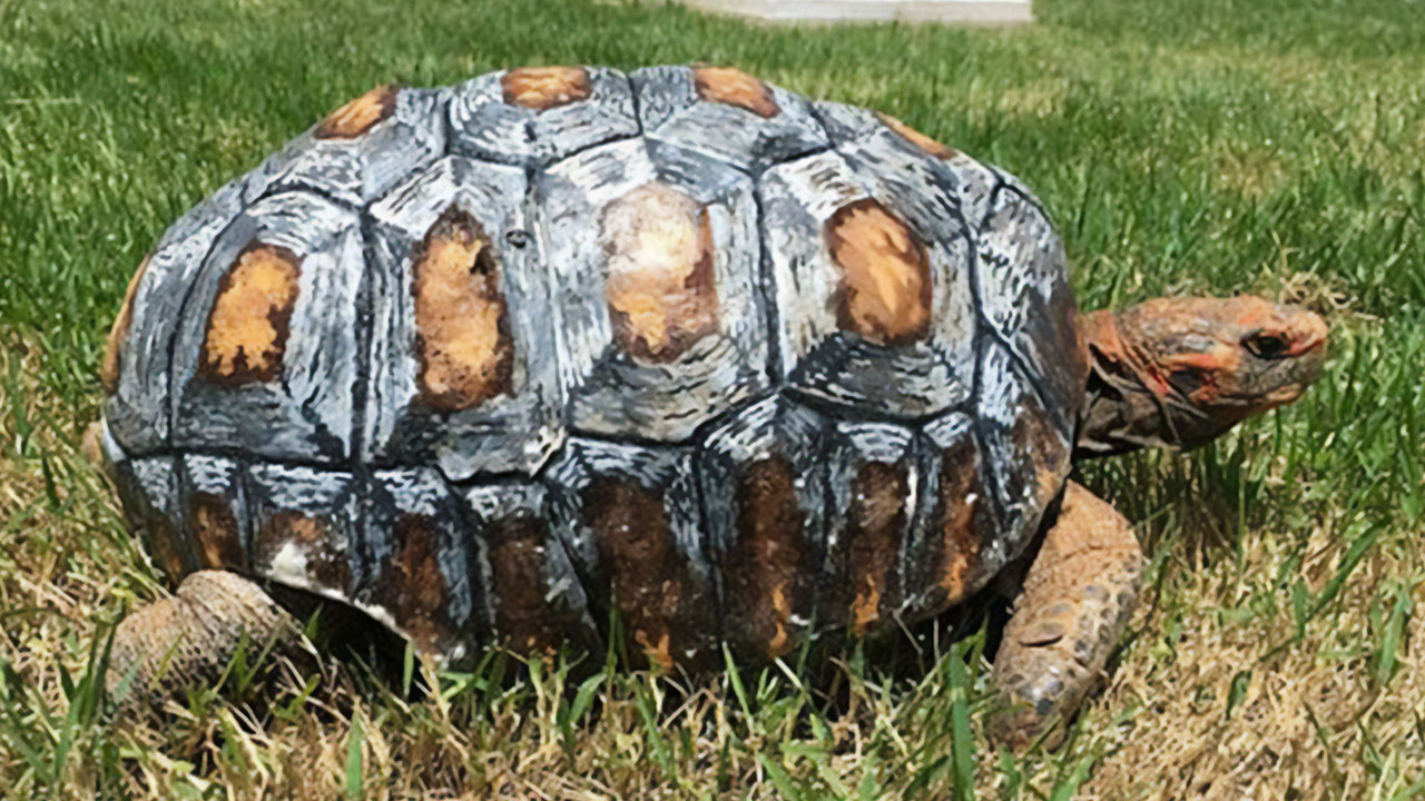 60 Times People Used 3D Printers And Created Some Brilliant Stuff