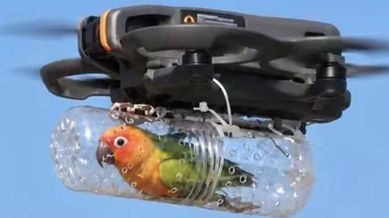 86 Fascinating Things You Probably Weren’t Looking For But Might Be Glad You Found