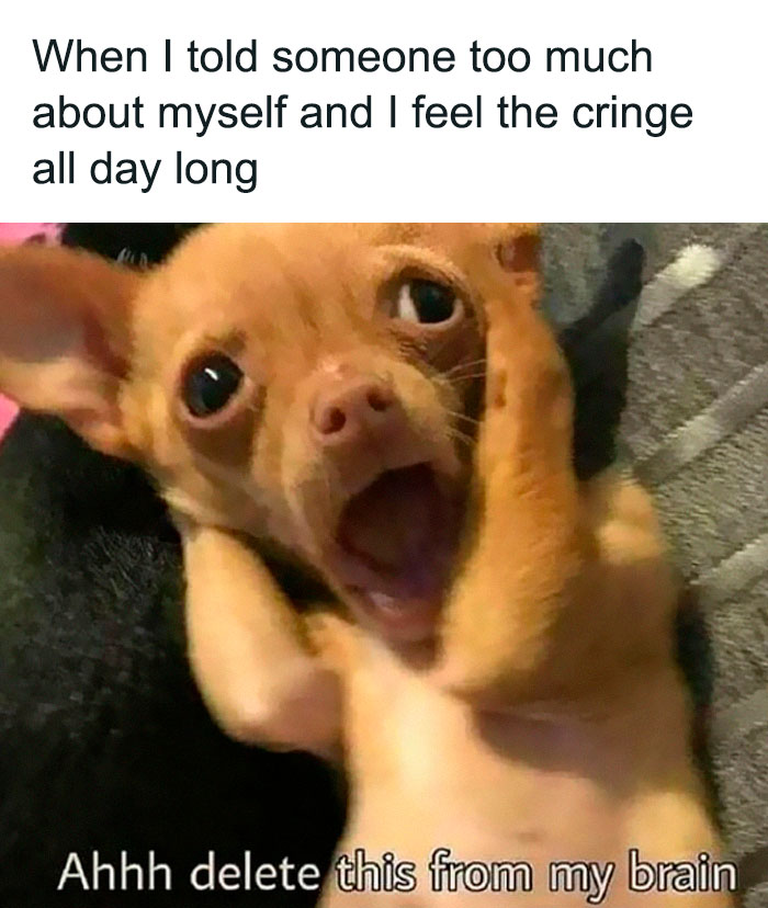 Anxious Chihuahua holding its head in a funny introverts meme about sharing too much information.