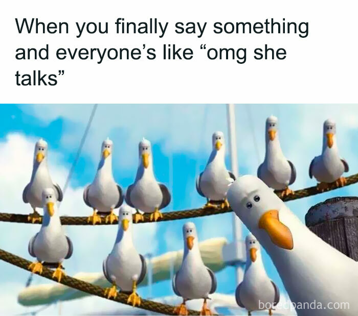 Relatable memes for introverts with Finding Nemo seagulls staring in shock when someone talks