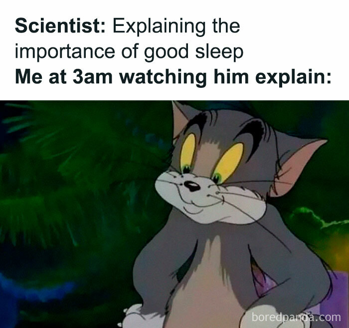 Relatable memes for introverts showing Tom the cat staying awake late at night.