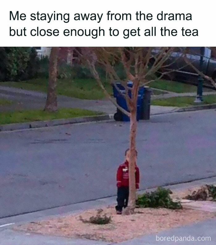 Memes for introverts showing a young kid hiding behind a thin tree to watch neighborhood drama.