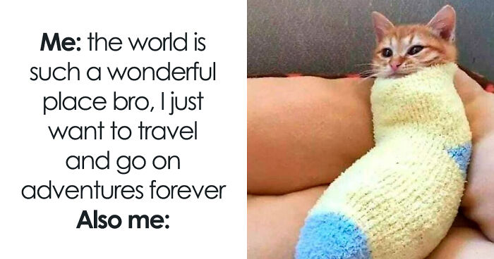 80 Relatable Memes For Introverts Whose Idea Of A Perfect Night Is Zero Human Contact