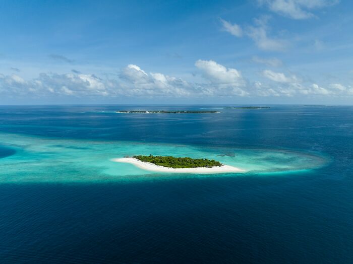 Wildly stupid things people said, an aerial view of a small tropical island with white sand and green trees in turquoise water.