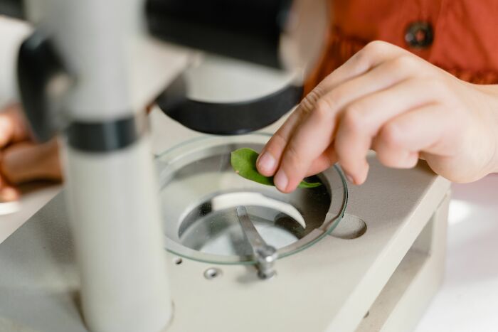 A researcher examining a leaf under a microscope, symbolizing the changing job market in scientific fields