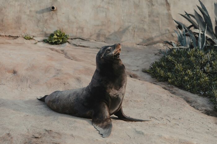 These 49 Animals Seem Cute But Zookeepers Say They Are A Total Nightmare