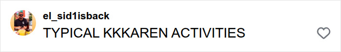 Comment referencing typical Karen activities in backlash Comment referencing typical Karen activities in backlash