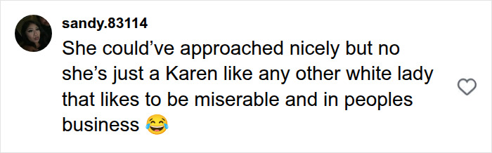Comment criticizing a Karen for being miserable and intrusive Comment criticizing a Karen for being miserable and intrusive