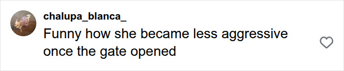 Comment on Karen less aggressive after gate opened backlash Comment on Karen less aggressive after gate opened backlash