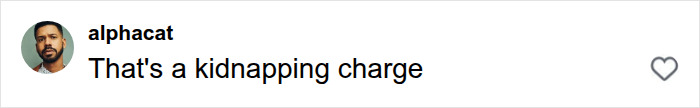 Comment mentioning kidnapping charge in Karen backlash Comment mentioning kidnapping charge in Karen backlash