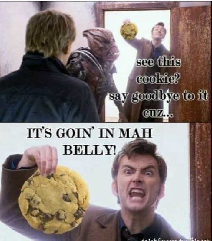 Two-panel Doctor Who meme about a cookie, showing a style common in cringe memes.