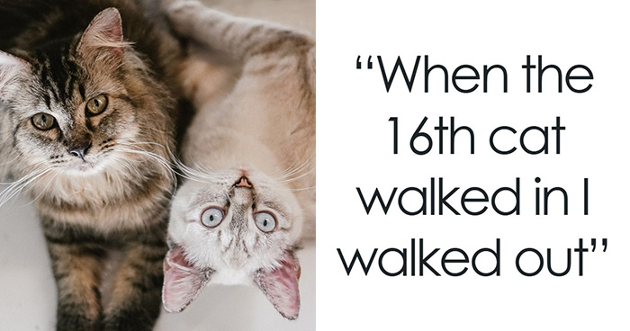 51 Times People Lasted For Over 20 Years In A Marriage And Then Something Switched