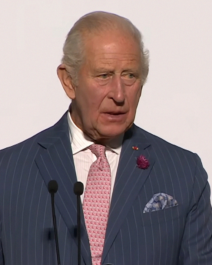 King Charles III, looking dapper in a pinstripe suit and pink tie, addresses the public regarding Meghan Markle's UK life. King Charles III, looking dapper in a pinstripe suit and pink tie, addresses the public regarding Meghan Markle's UK life.