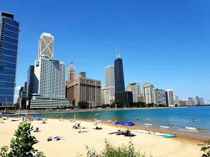 A sunny beach scene with a city skyline, contrasting with the theme of stupid things people said.