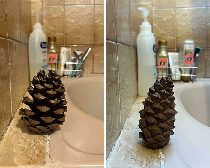 Mildly interesting pictures: A pinecone stands upright on a bathroom sink in two perspectives.