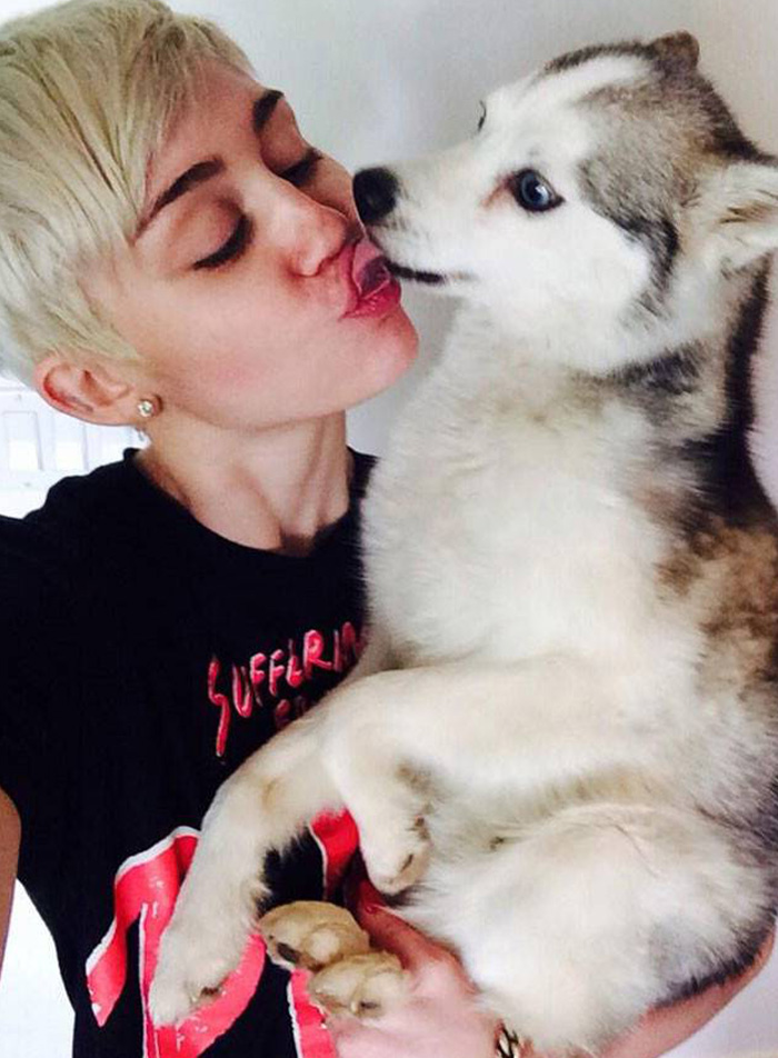 Miley Cyrus with short blonde hair kisses her husky dog, reflecting personal tragedies.
