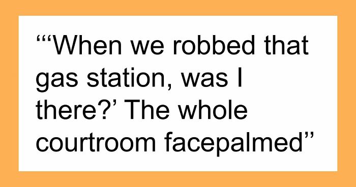 48 Legal Excuses So Ridiculous Even Lawyers Could Barely Believe Them
