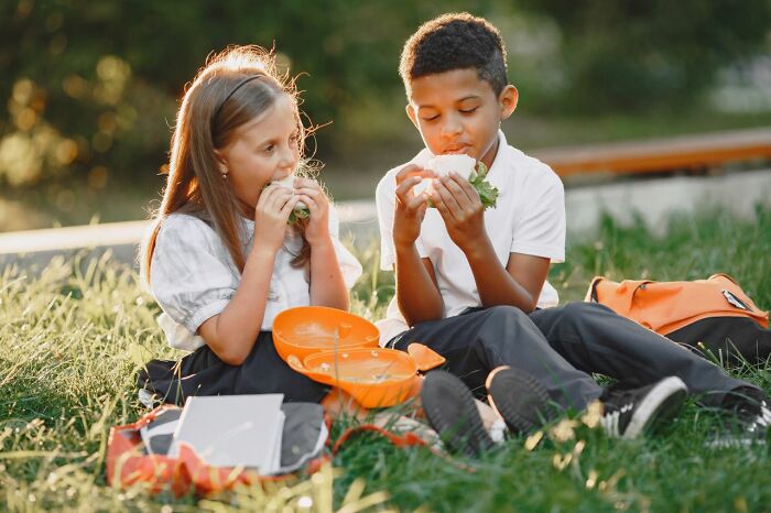 Two kids enjoying lunch outdoors, representing legal excuses for missing school.