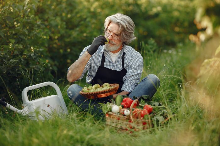A man with grey hair and beard sitting in a garden, eating a green apple from a basket of fresh produce, showing a midlife crisis.