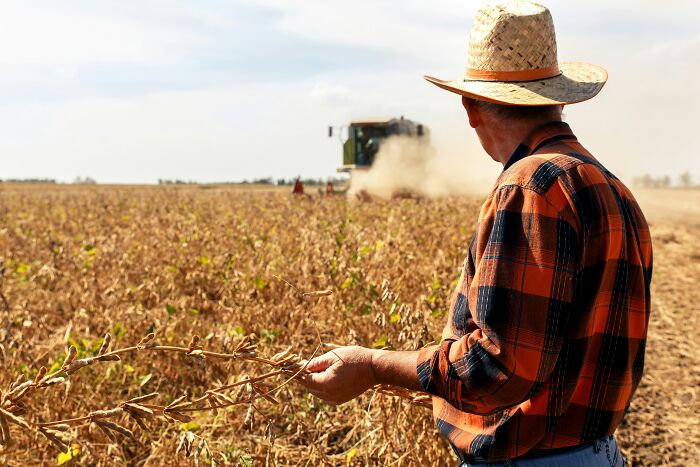 A farmer in a plaid shirt and straw hat inspecting crops with a combine harvester in the background, representing a midlife crisis.