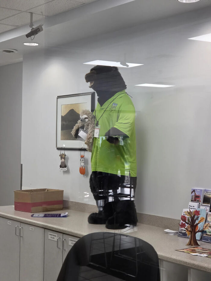 Hilarious photos: A person in a bear costume in a brightly lit office holding a small stuffed animal.