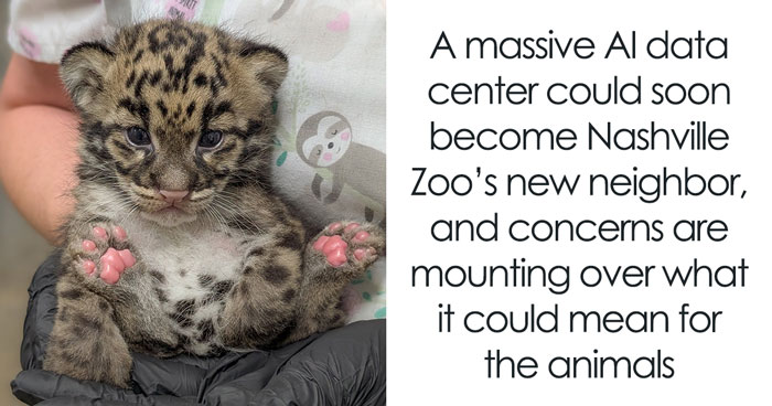 Nashville Zoo Sounds The Alarm As Controversial AI Infrastructure Creeps Toward Endangered Animals