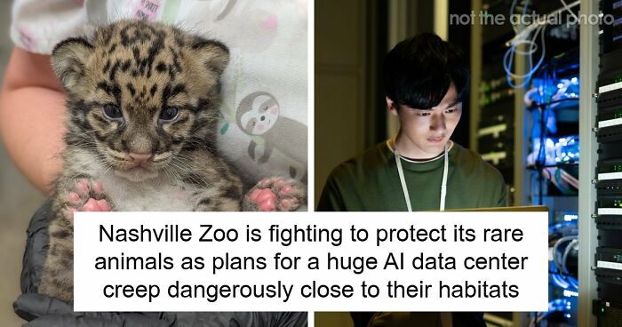 Nashville Zoo Sounds The Alarm As Controversial AI Infrastructure Creeps Toward Endangered Animals
