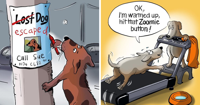 ‘Dog Logic’: Artist Imagines The World From A Dog’s Point Of View In 20 Hilarious Comics