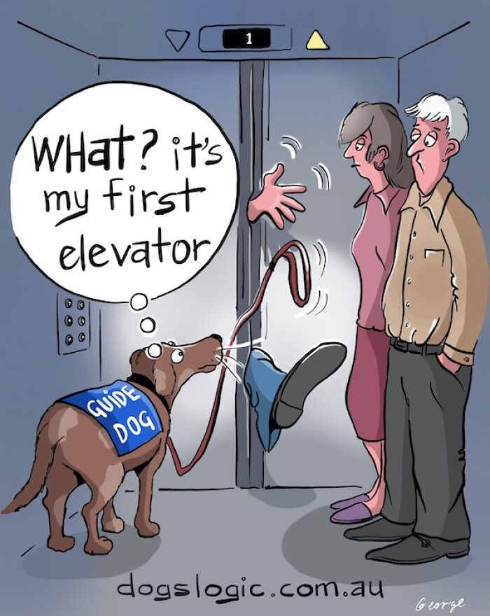 A guide dog experiencing its first elevator in a hilarious dog logic cartoon.