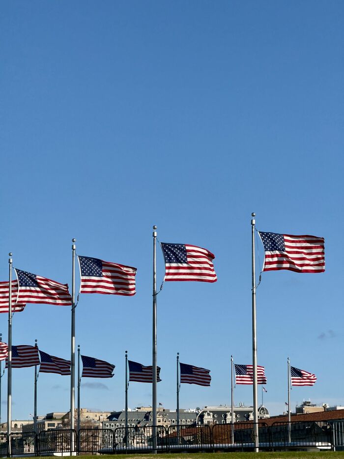 Numerous American flags waving against a clear blue sky, emphasizing patriotic stereotypes about the US.