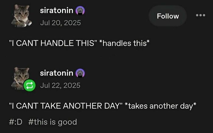 Edgy and hilarious memes screenshot about getting through another day despite difficulty.