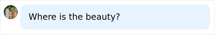 A Facebook comment asking, Where is the beauty? regarding extreme plastic surgery. A Facebook comment asking, Where is the beauty? regarding extreme plastic surgery.