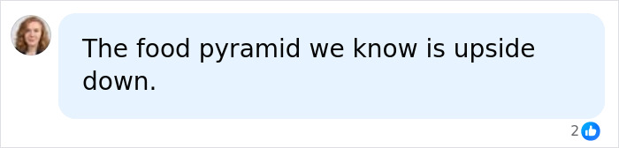 A social media comment suggesting the food pyramid is upside down in the context of a meat-only diet. A social media comment suggesting the food pyramid is upside down in the context of a meat-only diet.