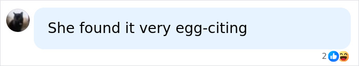 A social media comment with a pun: She found it very egg-citing, referencing a meat-only diet. A social media comment with a pun: She found it very egg-citing, referencing a meat-only diet.