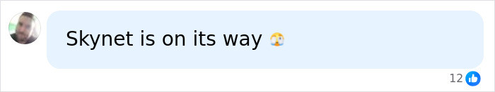 Comment referencing Skynet with worried emoji