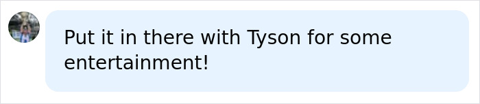 Comment suggesting to put the fight in there with Tyson for entertainment on man vs robot cage fight