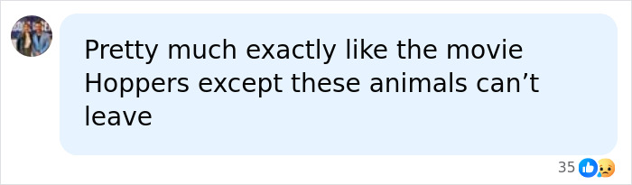 A comment comparing the AI infrastructure threat to endangered animals at Nashville Zoo to a movie scenario where animals cannot leave.