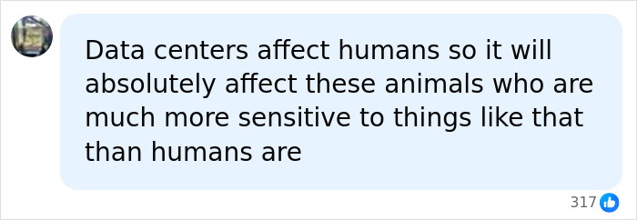 User comment on how AI infrastructure and data centers affect sensitive endangered animals near Nashville Zoo.