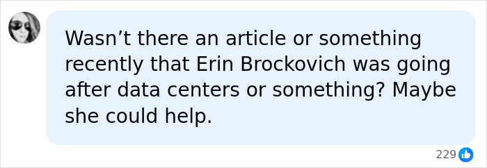 User suggests Erin Brockovich could help Nashville Zoo with controversial AI infrastructure affecting endangered animals.