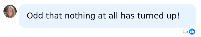 Comment noting the oddness of no clues turning up in the missing wife case