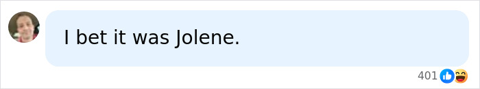 A social media comment suggesting Jolene as the perpetrator who disrespected Dolly Parton after her passing. A social media comment suggesting Jolene as the perpetrator who disrespected Dolly Parton after her passing.