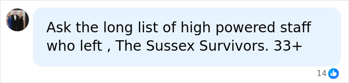 Screenshot of a comment asking about The Sussex Survivors, highlighting Meghan Markle's staff interview rules. Screenshot of a comment asking about The Sussex Survivors, highlighting Meghan Markle's staff interview rules.