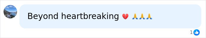 Social media user calling the cruise ship tragedy beyond heartbreaking. Social media user calling the cruise ship tragedy beyond heartbreaking.