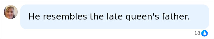 Screenshot of a royal fan comment: He resembles the late queen's father, sparking reactions to Prince George's portrait. Screenshot of a royal fan comment: He resembles the late queen's father, sparking reactions to Prince George's portrait.
