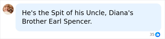 Screenshot of a royal fan comment: He's the spit of his Uncle, Diana's Brother Earl Spencer, regarding Prince George's portrait. Screenshot of a royal fan comment: He's the spit of his Uncle, Diana's Brother Earl Spencer, regarding Prince George's portrait.