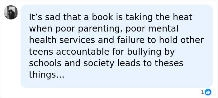 A social media comment suggests a book is taking heat, while poor parenting and mental health are the real issues. A social media comment suggests a book is taking heat, while poor parenting and mental health are the real issues.